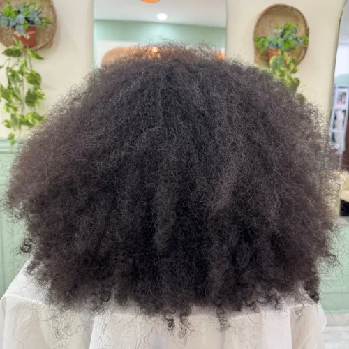 WhatsApp Image 2026-03-12 at 4.13.51 PM