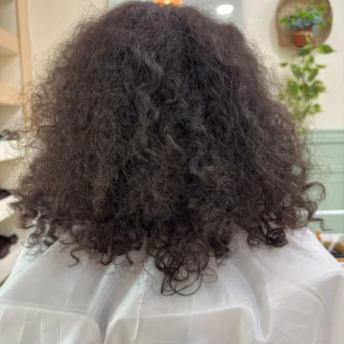 WhatsApp Image 2026-03-12 at 4.13.53 PM (3) (1)