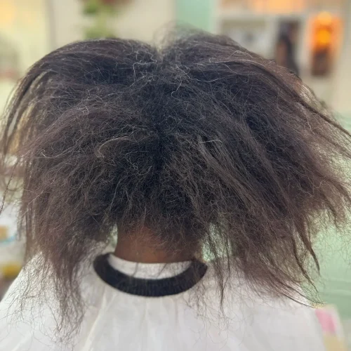 WhatsApp Image 2026-03-16 at 6.28.58 PM